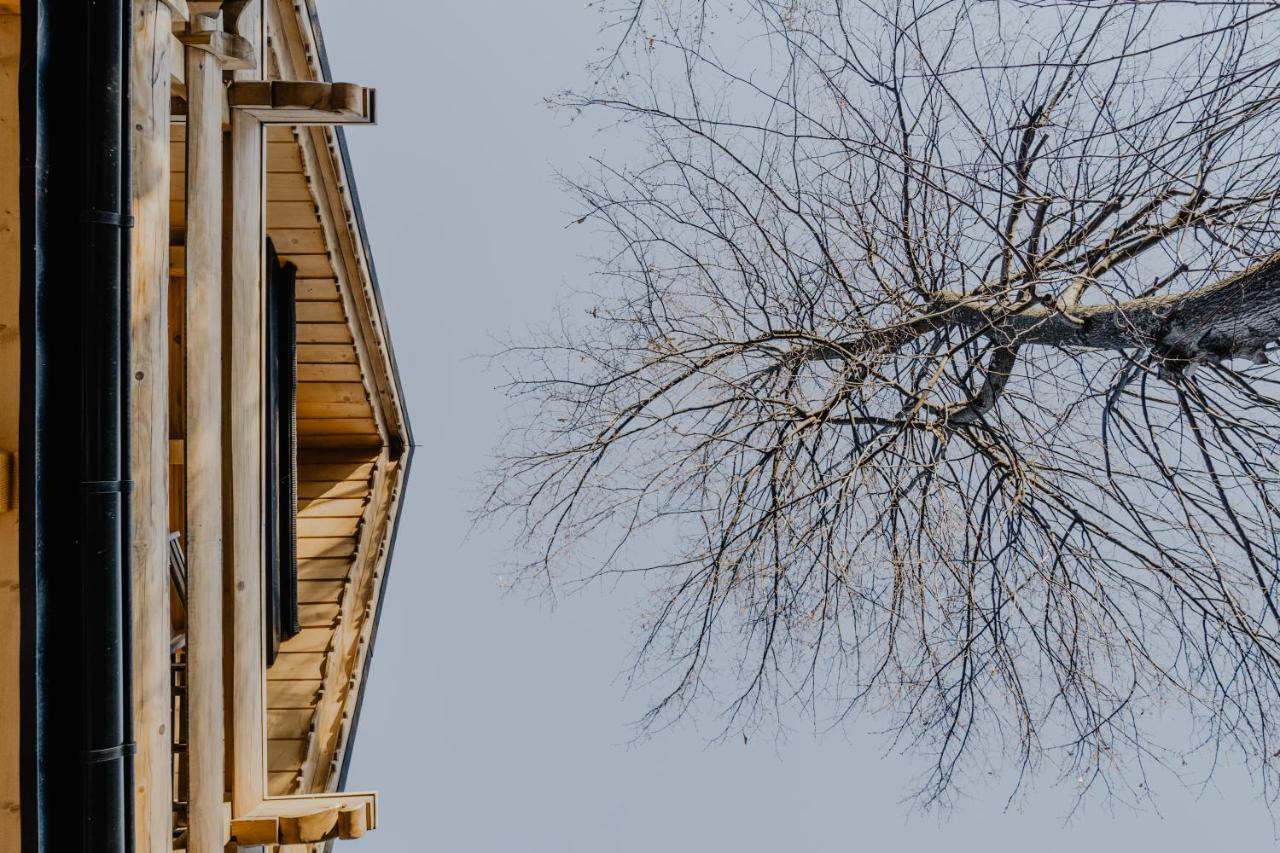 Biolo I Corno Izba Mountain Chalets Kościelisko Exteriér fotografie